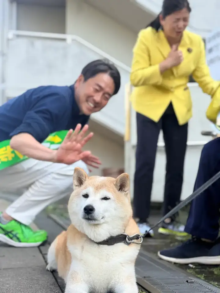 街頭1000本ノックの活動写真（6月12日 午後・井草・上井草・下井草周辺）